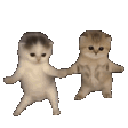 catsdance animated emote | Dadscord | Active VC Discord • SFW • Anime • Chill • Social • Emojis • VC • Active Voice Chat