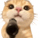 A close-up of an orange cat holding a black handgun towards the camera.