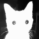 cat_shocked Discord Emoji from (っ◔◡◔)っ ˖ ݁᯽˖ the gulag ˖᯽ ݁˖