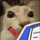 cat_soda custom emote - (っ◔◡◔)っ ˖ ݁᯽˖ the gulag ˖᯽ ݁˖