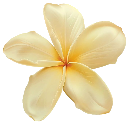 04_flower Discord emoji