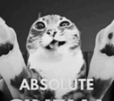 727426catabsolutecinema custom emote - axshxsoon