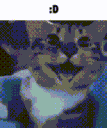 A distorted, deep-fried cat face with a wide, toothy grin and the text :D above it.