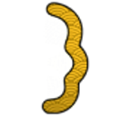 A golden pixel art dragon head looking contemplative against a black background.