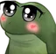FrogeAnime