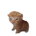 cat_smol custom emote | °❀⋆.ೃ࿔*:Cool Cats･°❀⋆.ೃ࿔*:･