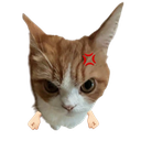 :angry_cat: