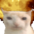 gatitoboom59 animated GIF emoji - °❀⋆.ೃ࿔*:Cool Cats･°❀⋆.ೃ࿔*:･
