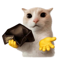 poorcat custom emote from °❀⋆.ೃ࿔*:Cool Cats･°❀⋆.ೃ࿔*:･