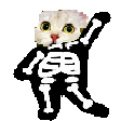 skeletondance animated GIF emoji - °❀⋆.ೃ࿔*:Cool Cats･°❀⋆.ೃ࿔*:･