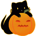 :8487pumpkincat: