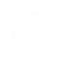 ticket