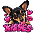 action138TitusKisses