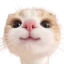 hapi