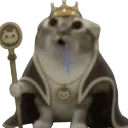 droolingcatking