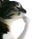 hmmm Discord emoji