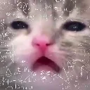 brainnotbraining