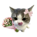 141717catpropose Discord Emoji | Booberries msp