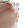 catjam