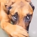 :6_stink: