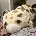 A brown and white cow plush toy lying down on a patterned surface.