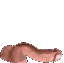 dih animated GIF emoji from 𝐦𝐞𝐨𝐰𝐬𝐥𝐲 🐾୭ ˚.