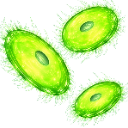 lime_blade Discord emoji