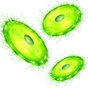 lime_blade