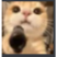 :cat_with_gun2: