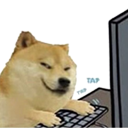 Shiba Inu with a smug expression typing on a computer keyboard.