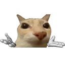 A cat with wide eyes and human hands gesturing in a confused shrug motion.