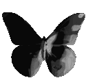 emoji_79 animated Discord emote - Veridie