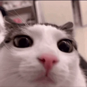 :boi_anuyan:
