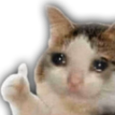sad_ok Discord Emoji | °❀⋆.ೃ࿔*:Cool Cats･°❀⋆.ೃ࿔*:･