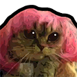 catsillyggato Discord sticker from °❀⋆.ೃ࿔*:Cool Cats･°❀⋆.ೃ࿔*:･