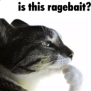 ragebait Discord sticker from °❀⋆.ೃ࿔*:Cool Cats･°❀⋆.ೃ࿔*:･