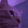 CatSlam animated Discord emote - °❀⋆.ೃ࿔*:Cool Cats･°❀⋆.ೃ࿔*:･