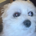 f_Fatso Discord Emoji - ⊹ ࣪ ˖𝗘𝘁𝗲𝗿𝗻𝗮𝗹𝗠𝗶𝘀𝗲𝗿𝘆⊹ ࣪ ˖