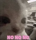 z_NONONO