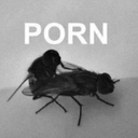 sex custom emote - nsfw