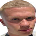 haalandwave Discord emoji