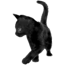Cat_gothic