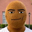 kiwi_stare