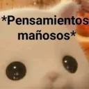 Captura_de_pantalla_20260821_152