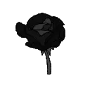 midnightblack