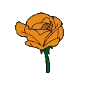 dirtyorange