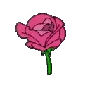 oldtimeypink