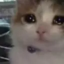 emoji_13