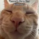 we_are_being_fr