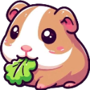 A cute brown and white guinea pig happily chewing on a large green leaf.